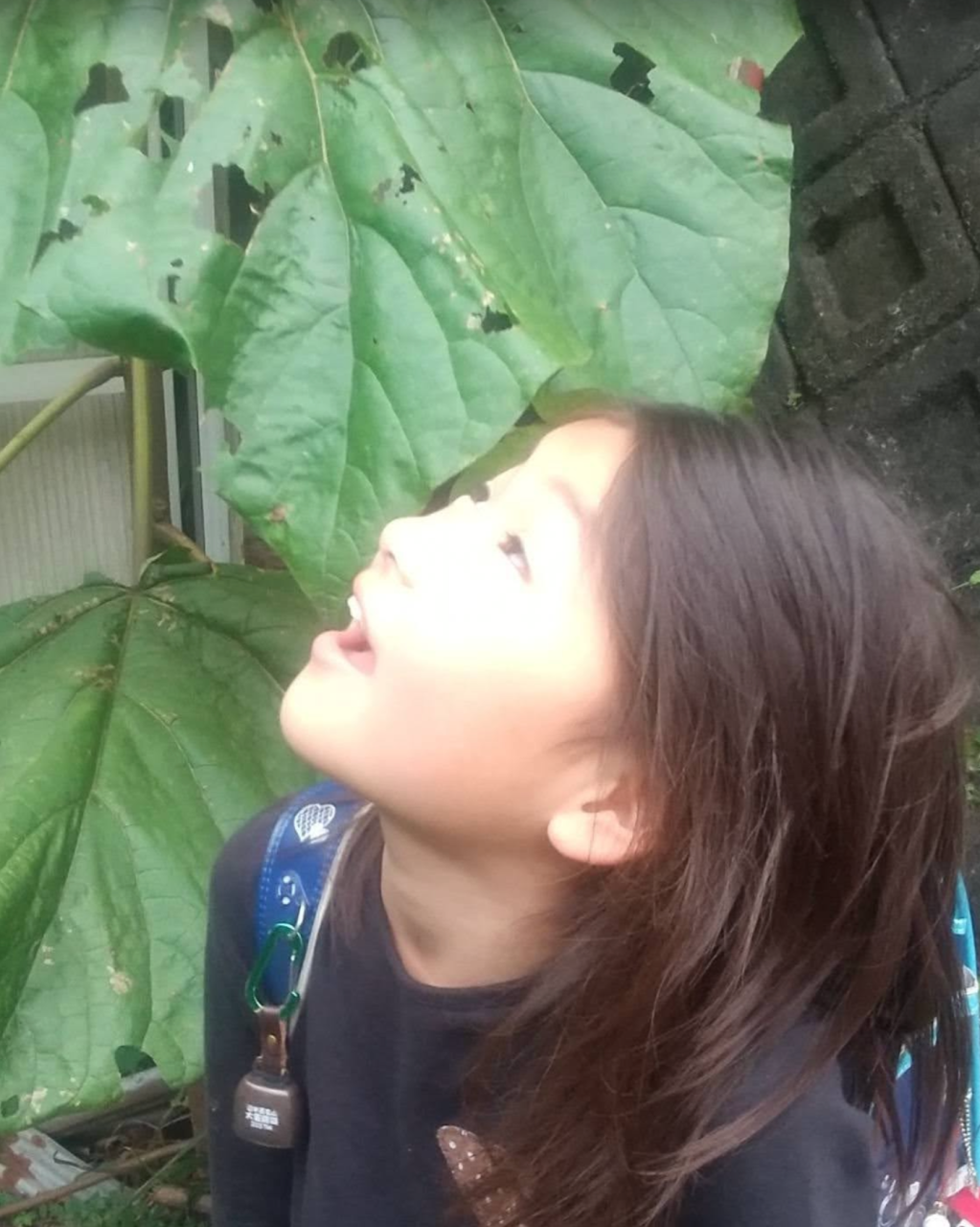 ちかはぎの六花