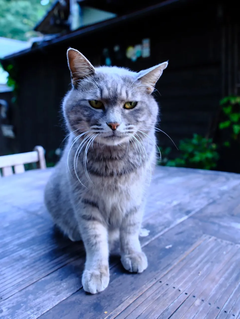 初めて覚えた